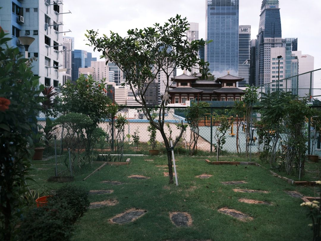 Photo Urban garden