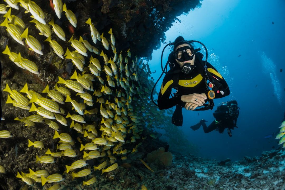 Photo Diving gear