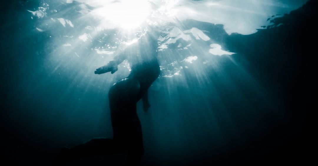 Photo Swimmers silhouette