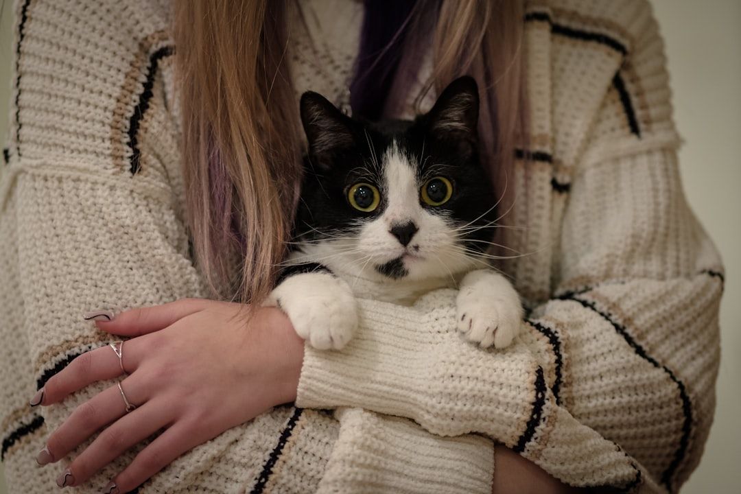 Photo Pet portrait