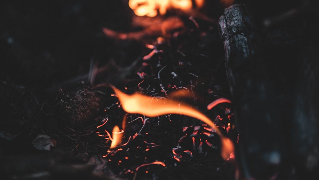 Photo Campfire cooking