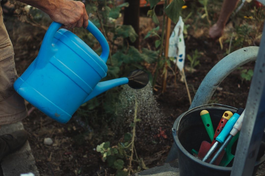 Photo Watering can