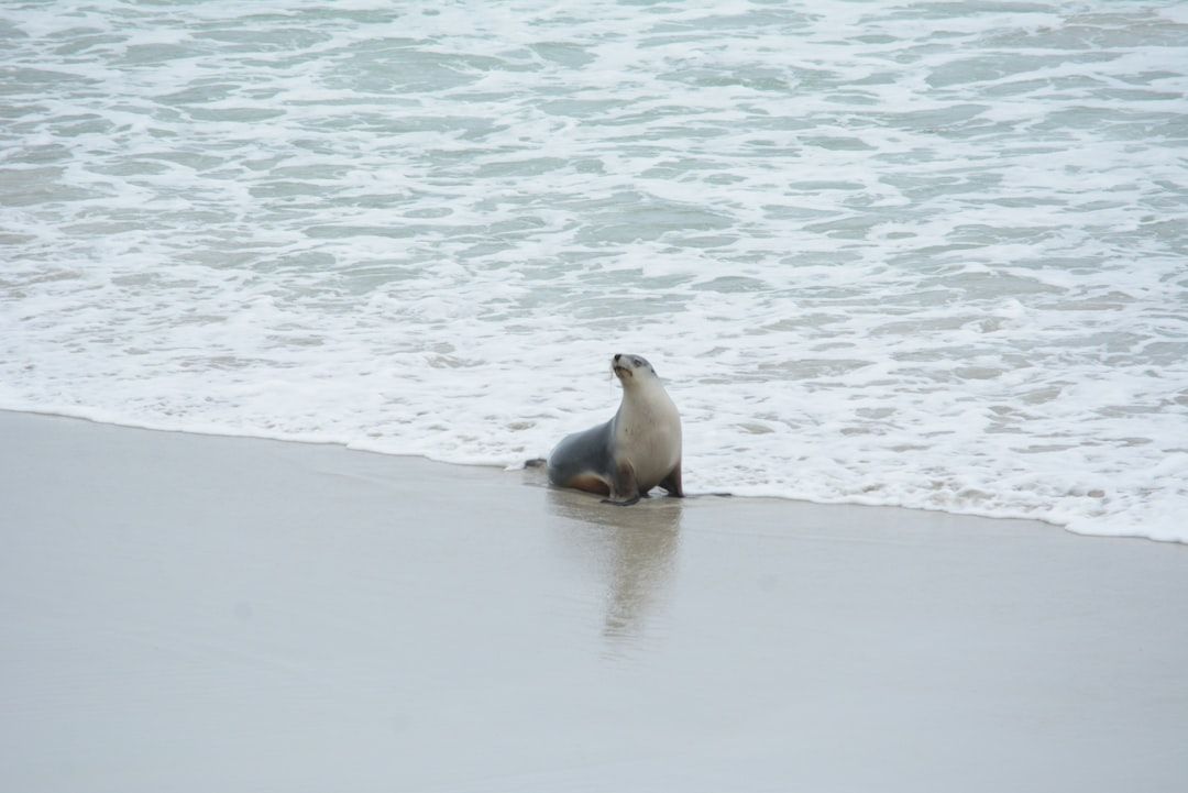 Photo Quality seal