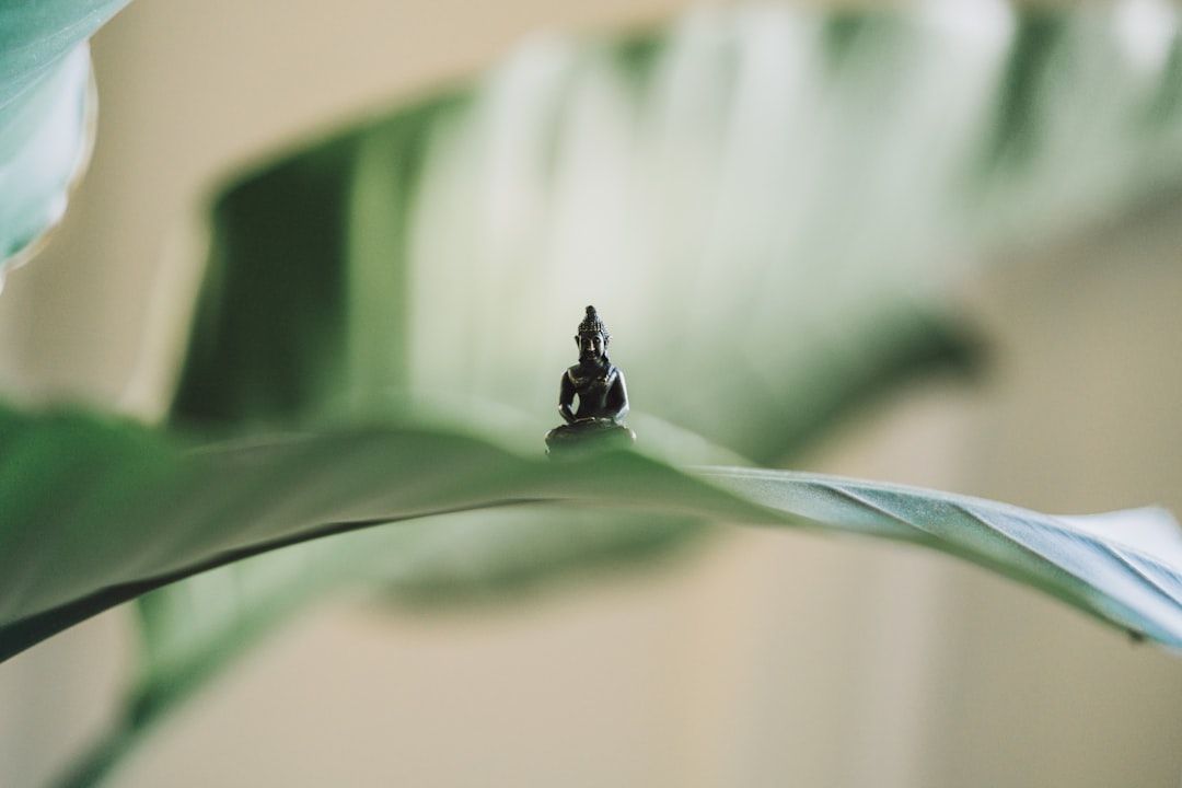 Photo Ethical sourcing