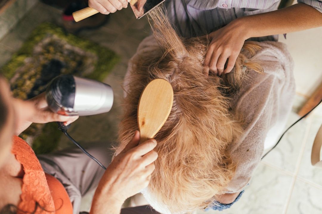 Photo Pet grooming