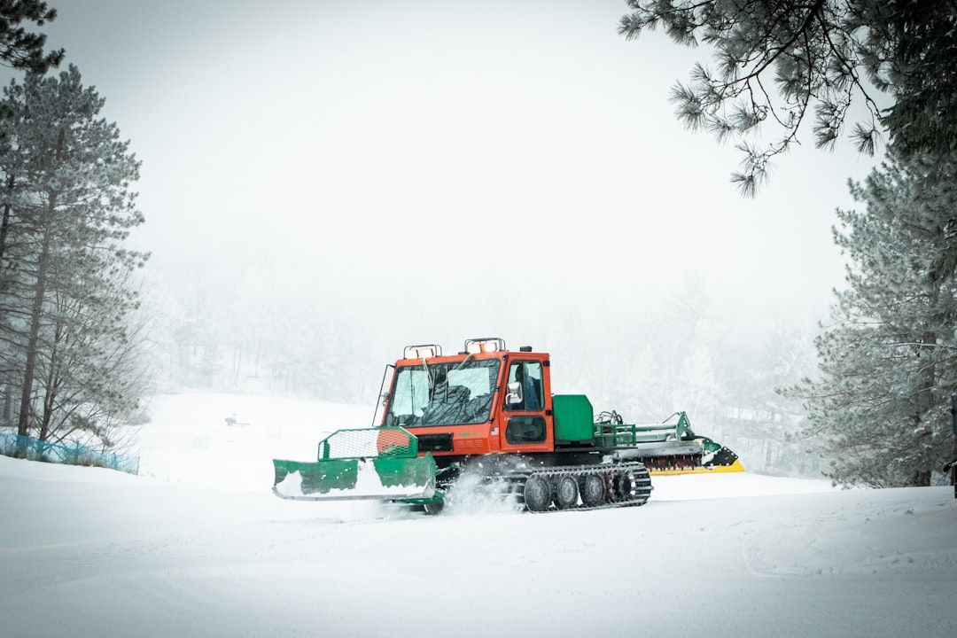 Photo Winter grooming