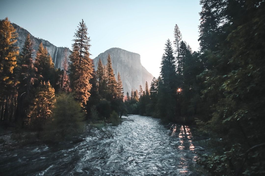 Photo Polluted river