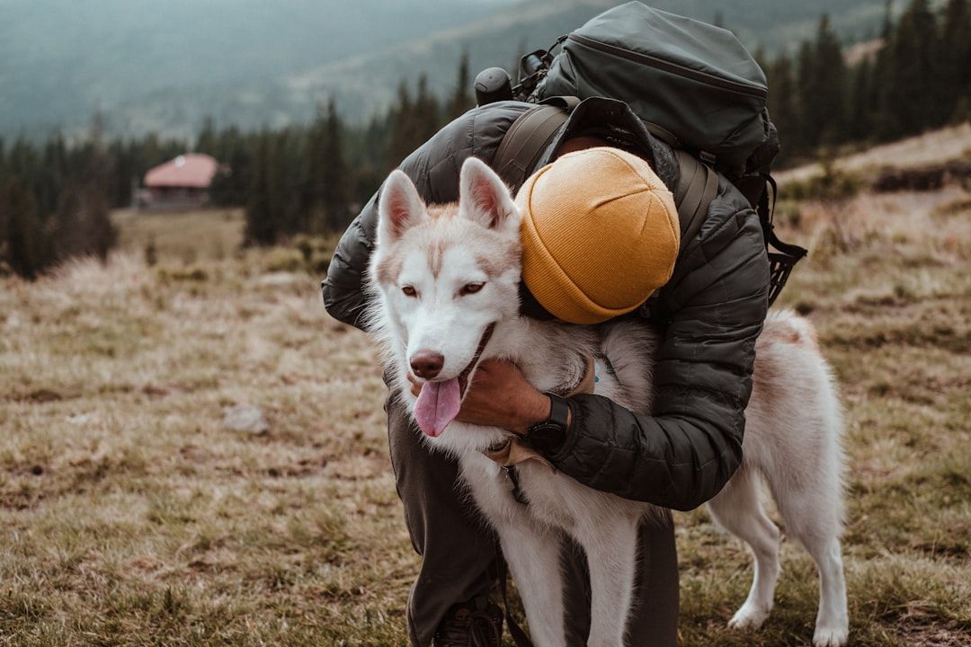 Photo Hugging dog