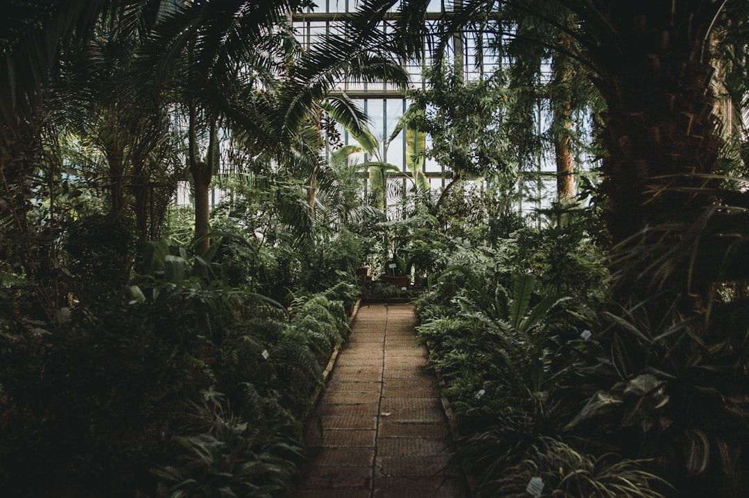 Photo Greenhouse types